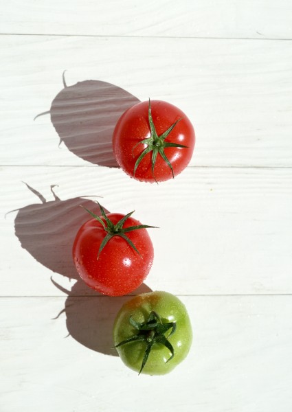 点击大图看下一张：红红的小西红柿图片