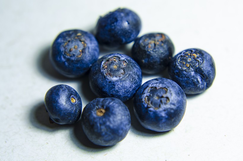 点击大图看下一张：小巧的蓝莓图片