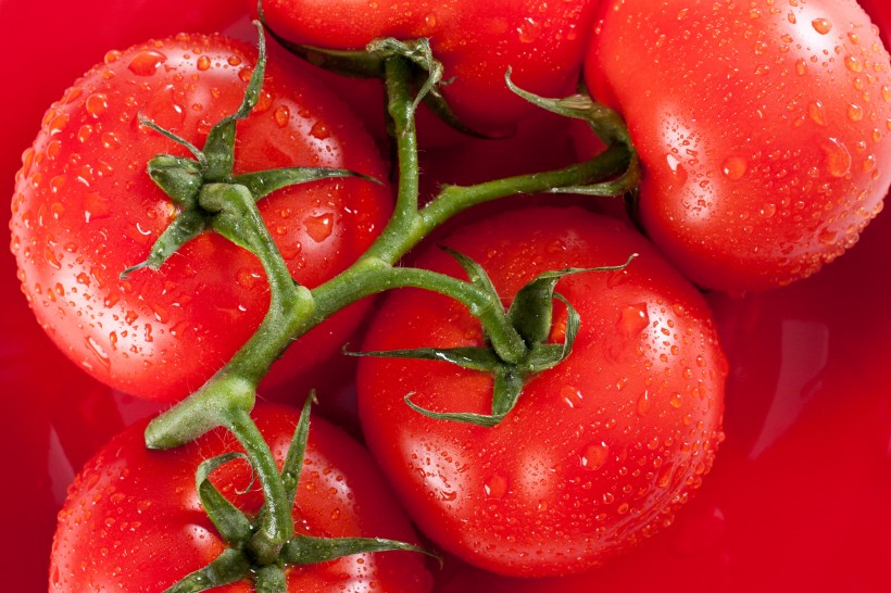 点击大图看下一张：各种各样的西红柿图片