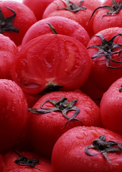 点击大图看下一张:西红柿图片