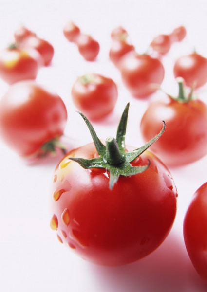 点击大图看下一张:西红柿图片