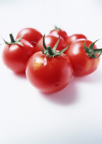 点击大图看下一张:西红柿图片