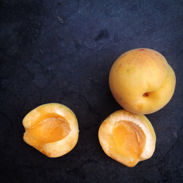 点击大图看下一张：黄澄澄的杏子图片