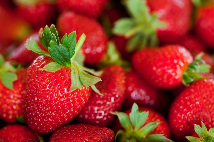 点击大图看下一张：新鲜的草莓蓝莓桑葚图片