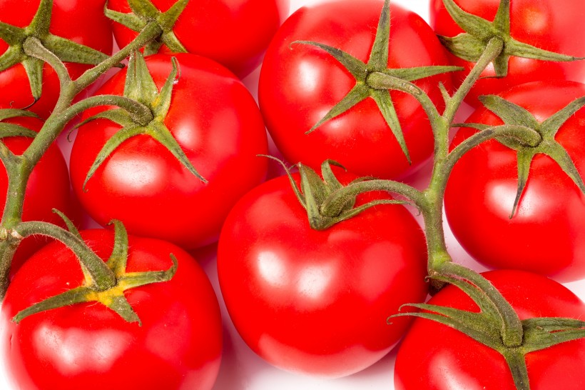 点击大图看下一张：新鲜的番茄图片