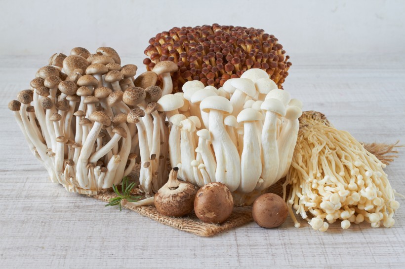 点击大图看下一张：新鲜的蘑菇图片