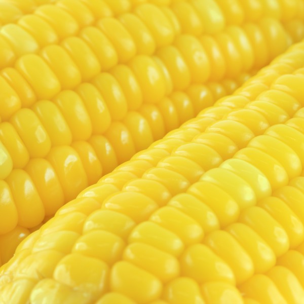 点击大图看下一张：新鲜的嫩玉米图片