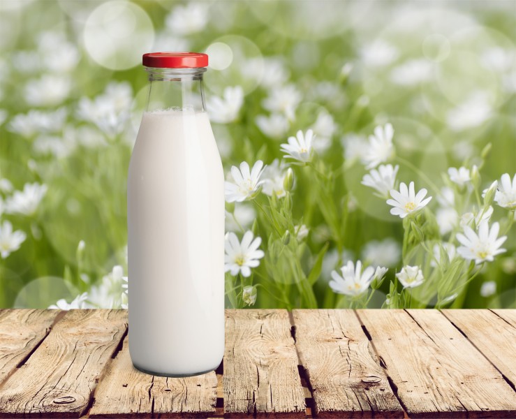 点击大图看下一张：新鲜的牛奶与户外景色图片