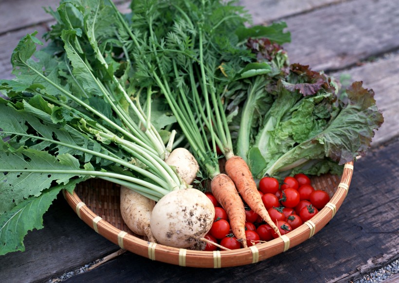 点击大图看下一张：新鲜的蔬菜篮子图片