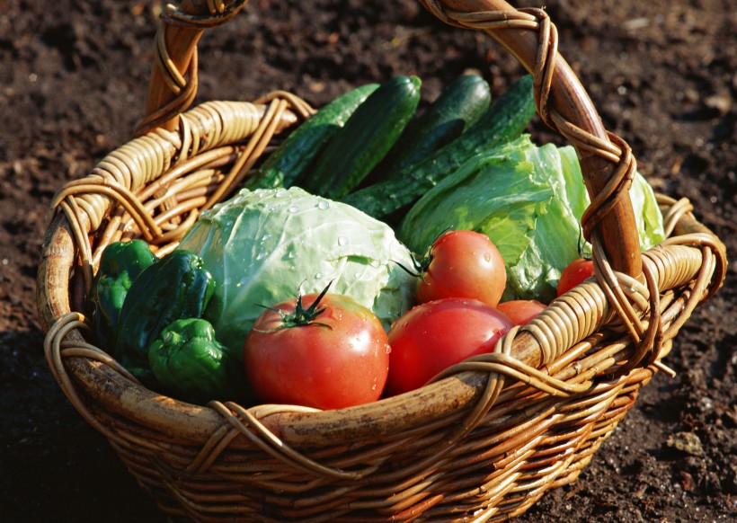 点击大图看下一张：新鲜的蔬菜篮子图片