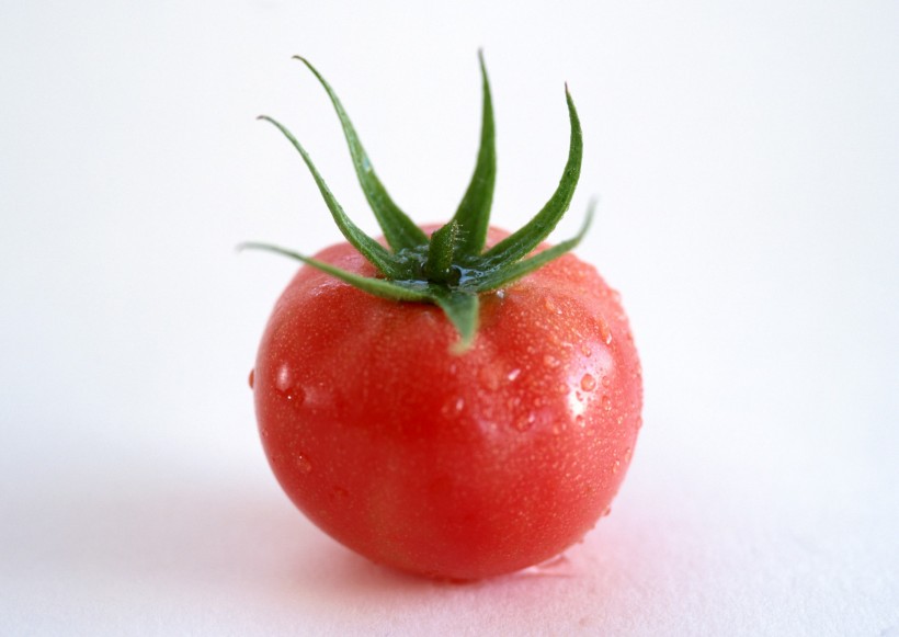点击大图看下一张：新鲜西红柿图片