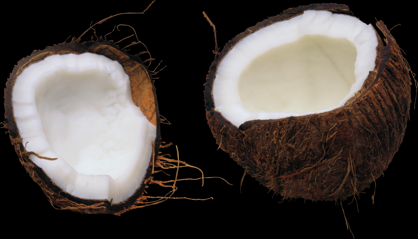 点击大图看下一张：椰子透明背景PNG图片