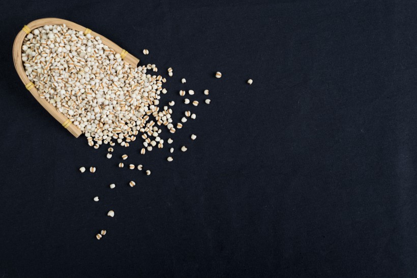 点击大图看下一张：颗粒饱满的薏米图片