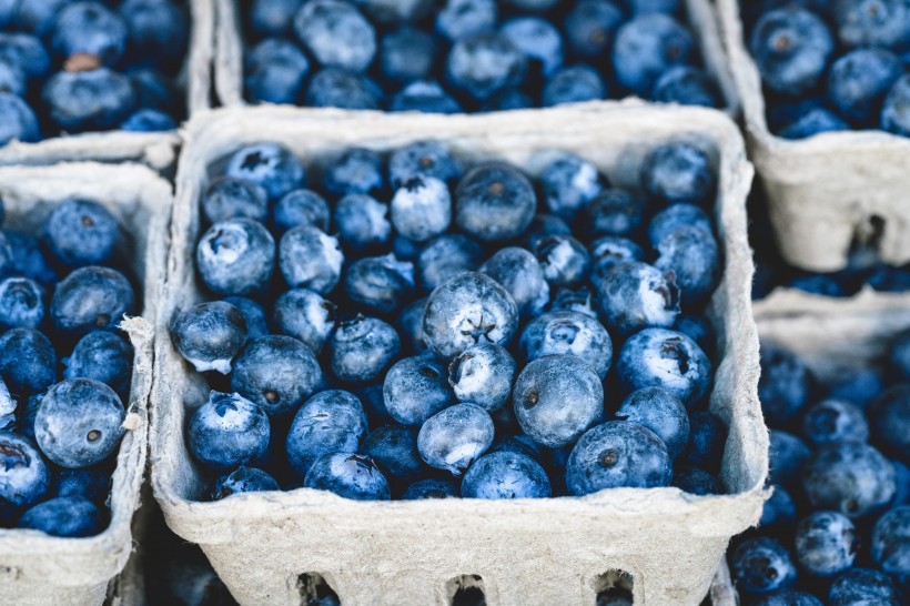 点击大图看下一张：圆溜溜的蓝莓图片