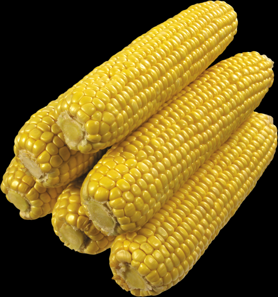 点击大图看下一张：玉米透明背景PNG图片