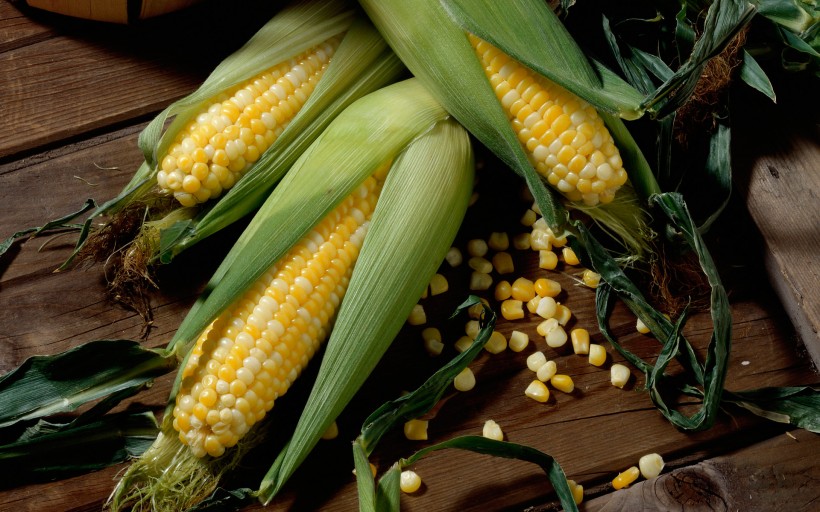 点击大图看下一张：美味玉米图片