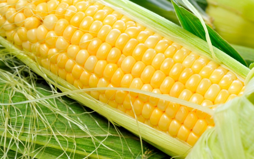 点击大图看下一张：美味玉米图片