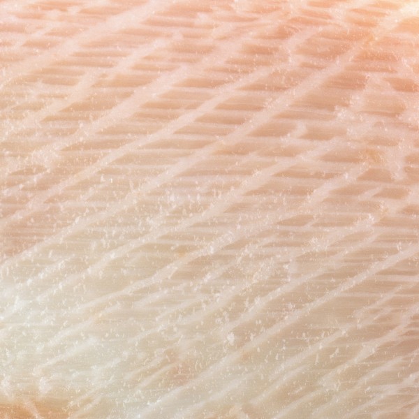 点击大图看下一张:鱼肉类背景图片