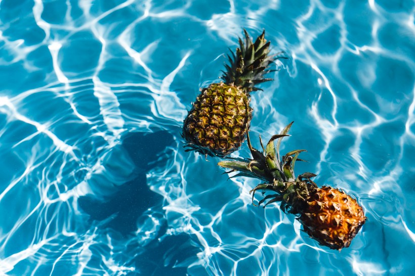 点击大图看下一张：在游泳池的菠萝图片