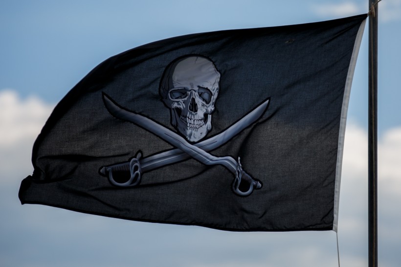 点击大图看下一张：海盗旗图片