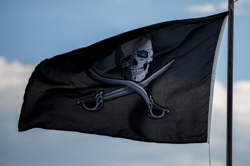 点击大图看下一张：海盗旗图片