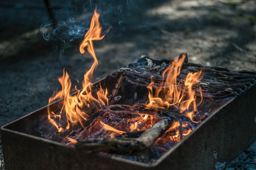 点击大图看下一张：用木材点然的火焰图片