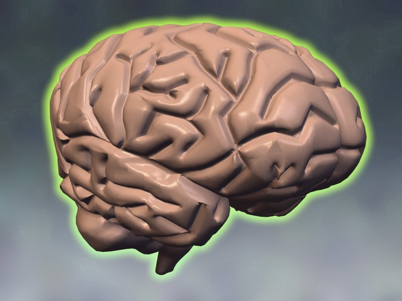点击大图看下一张：人体大脑图片