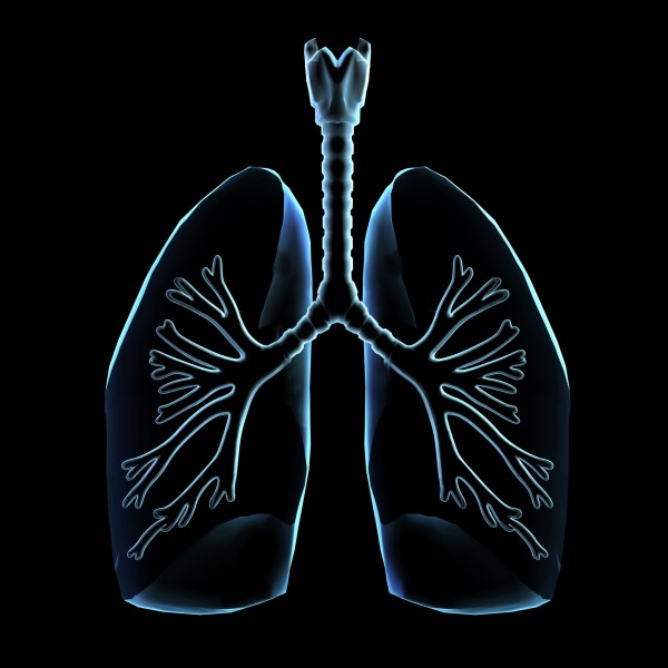 点击大图看下一张:人体x光片图片