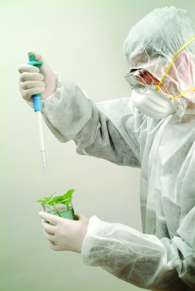 点击大图看下一张：生物科技研究图片