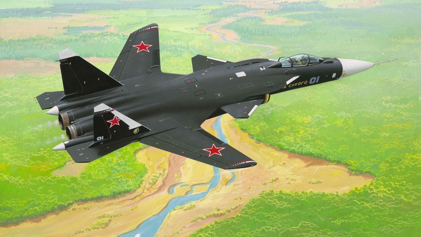 点击大图看下一张：苏-47“金鹰”战斗机图片