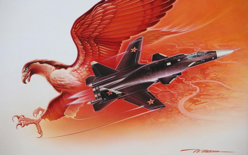 点击大图看下一张：苏-47“金鹰”战斗机图片