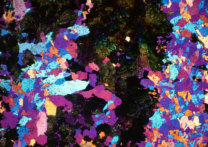 点击大图看下一张：细胞图片