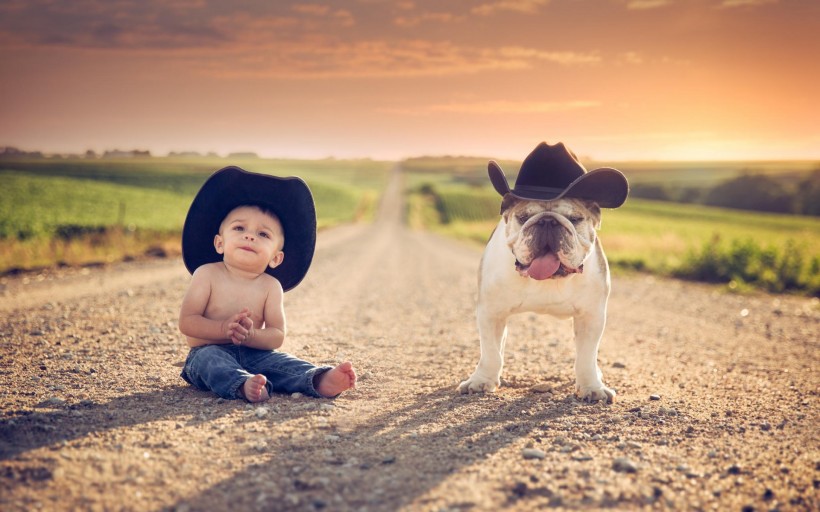 点击大图看下一张：宝宝和狗狗温馨图片