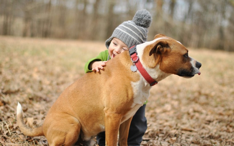 点击大图看下一张：宝宝和狗狗温馨图片