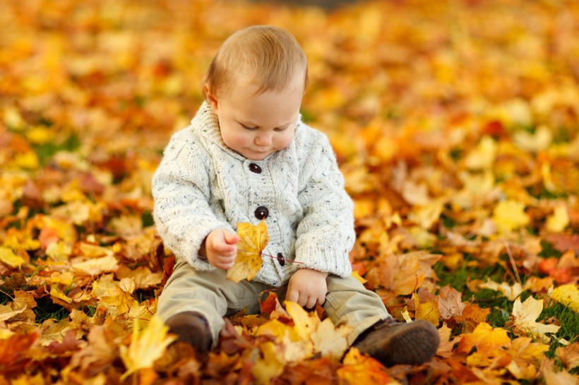 点击大图看下一张：坐在枫叶上玩耍的可爱小男孩图片