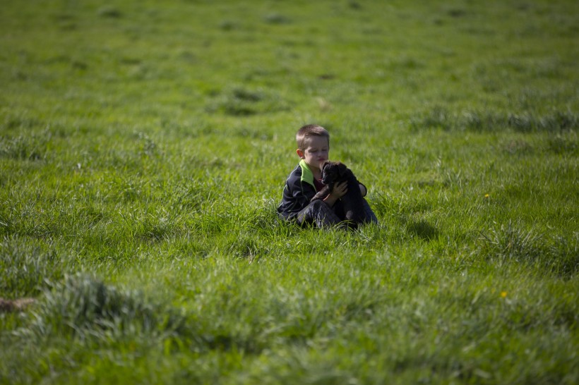 点击大图看下一张：在草地上的孤独的小男孩图片
