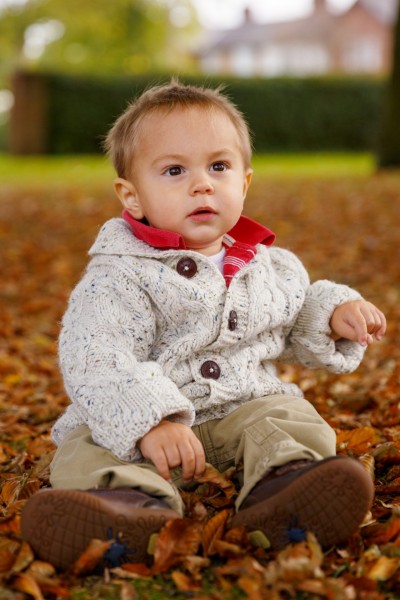 点击大图看下一张：坐在枫叶上玩耍的可爱小男孩图片