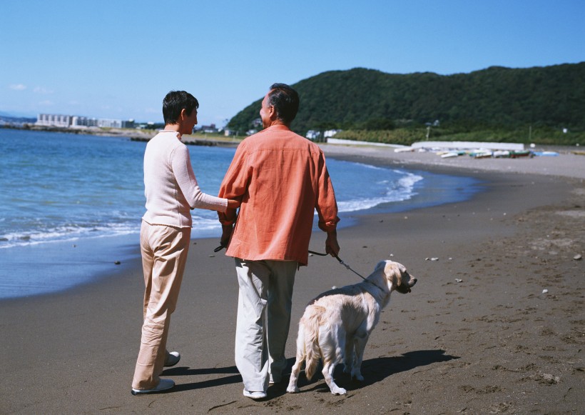 点击大图看下一张：海边度假老年人图片