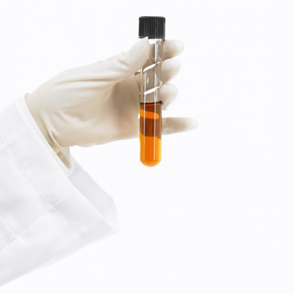 点击大图看下一张:各行业手势图片