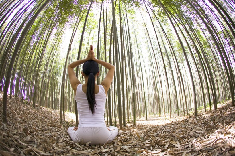 点击大图看下一张：户外竹林瑜伽图片