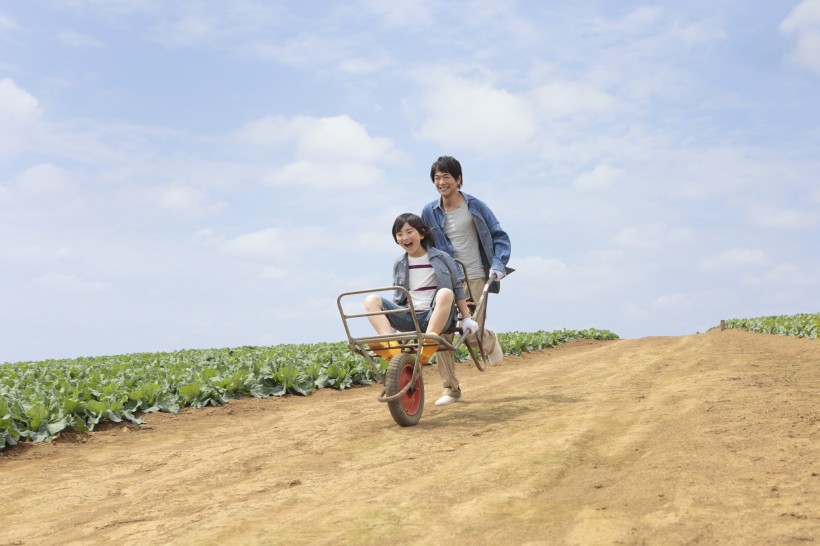 点击大图看下一张：家庭农业耕作图片