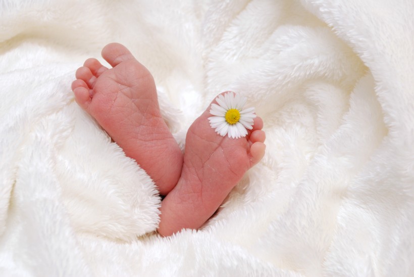点击大图看下一张：可爱的婴儿小脚丫图片
