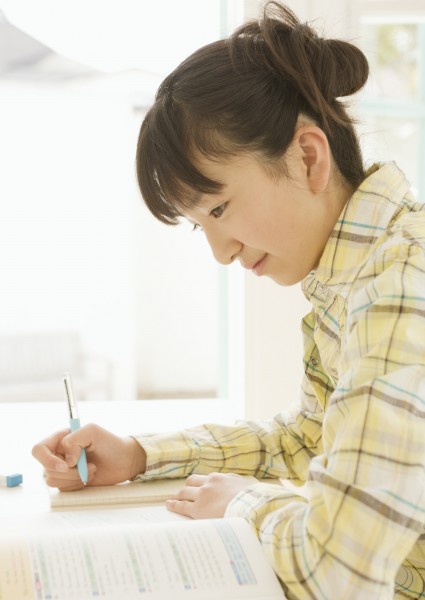 点击大图看下一张：青少年学习上网图片