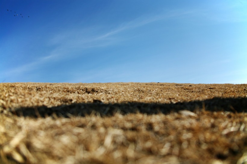 点击大图看下一张：亲近大自然图片