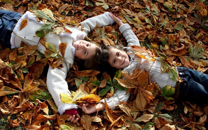 点击大图看下一张：秋天的落叶与孩子唯美图片