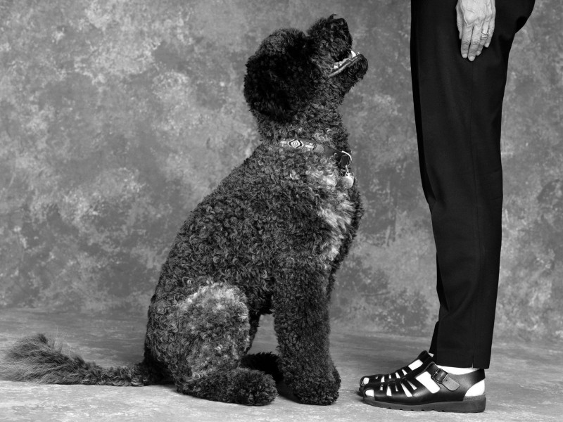 点击大图看下一张：人与狗黑白图片