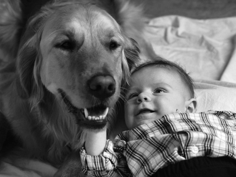 点击大图看下一张:人与狗黑白图片