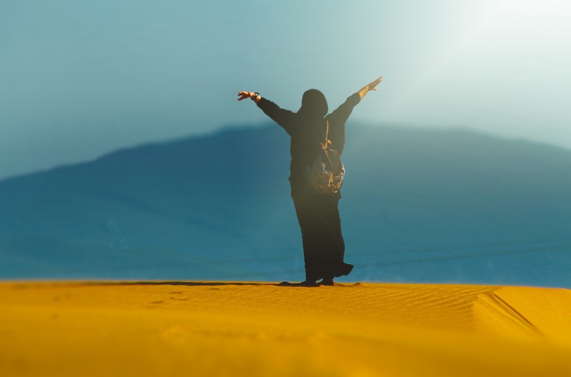 点击大图看下一张：沙漠上行走的人图片