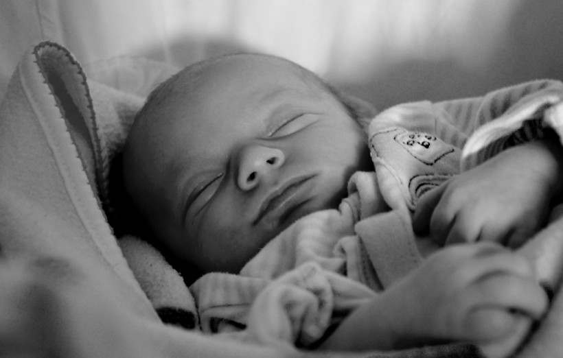 点击大图看下一张：睡着的婴儿图片