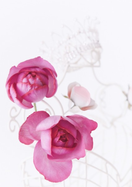 点击大图看下一张：甜蜜婚礼情景图片